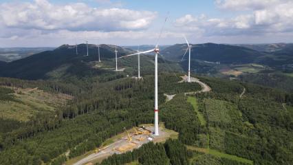 MVV macht Tempo bei der Stromwende mit weiterem Windpark - Image